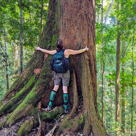 Thejungleguide - Lodges & Treks Bukit Lawang Luaran gambar