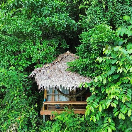 Thejungleguide - Lodges & Treks Bukit Lawang Luaran gambar