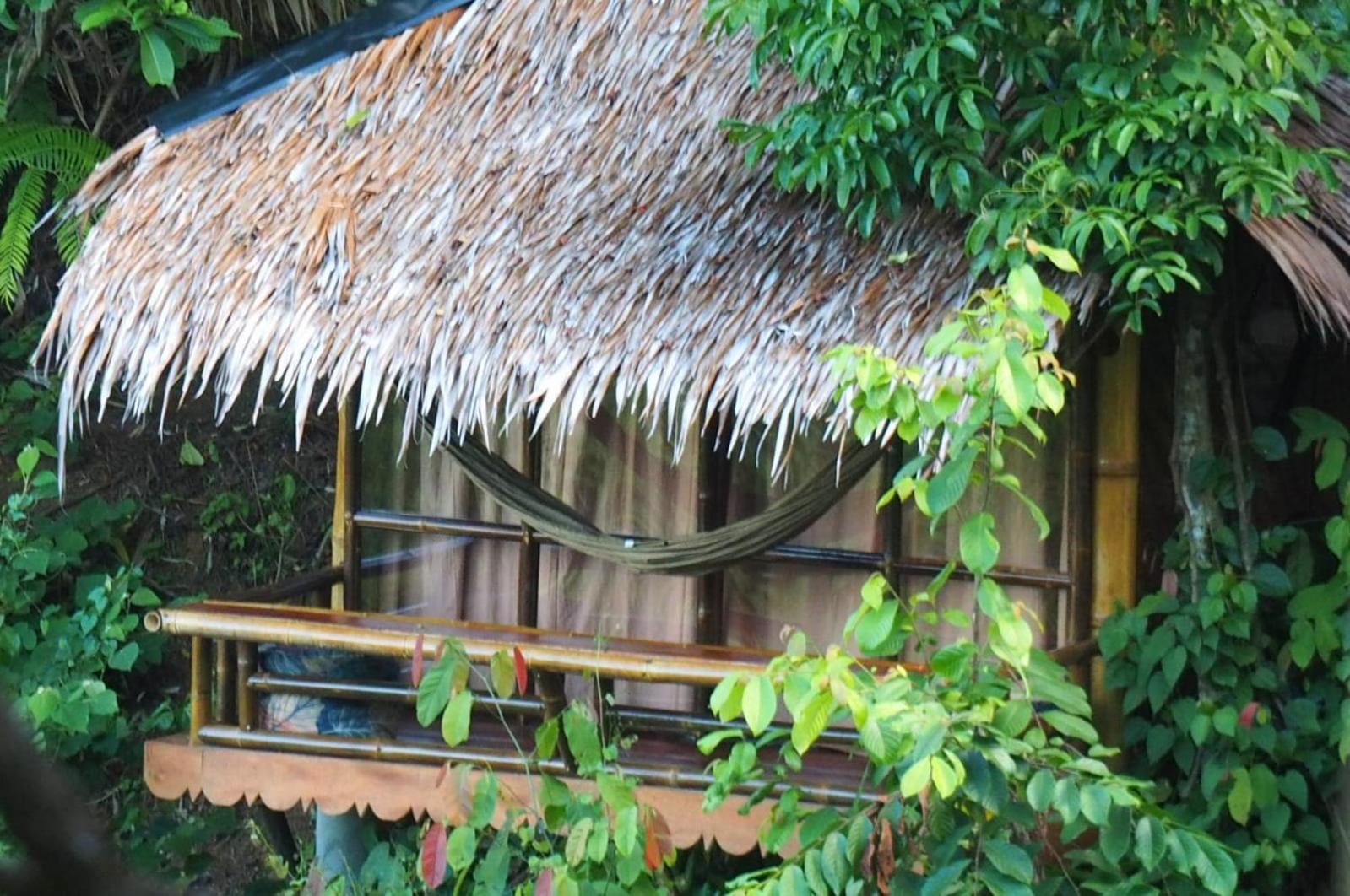 Thejungleguide - Lodges & Treks Bukit Lawang Luaran gambar