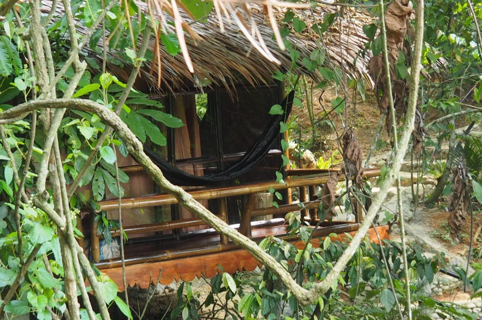 Thejungleguide - Lodges & Treks Bukit Lawang Luaran gambar