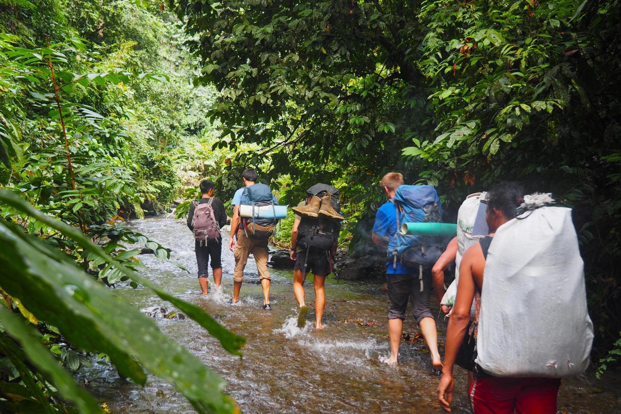 Thejungleguide - Lodges & Treks Bukit Lawang Luaran gambar