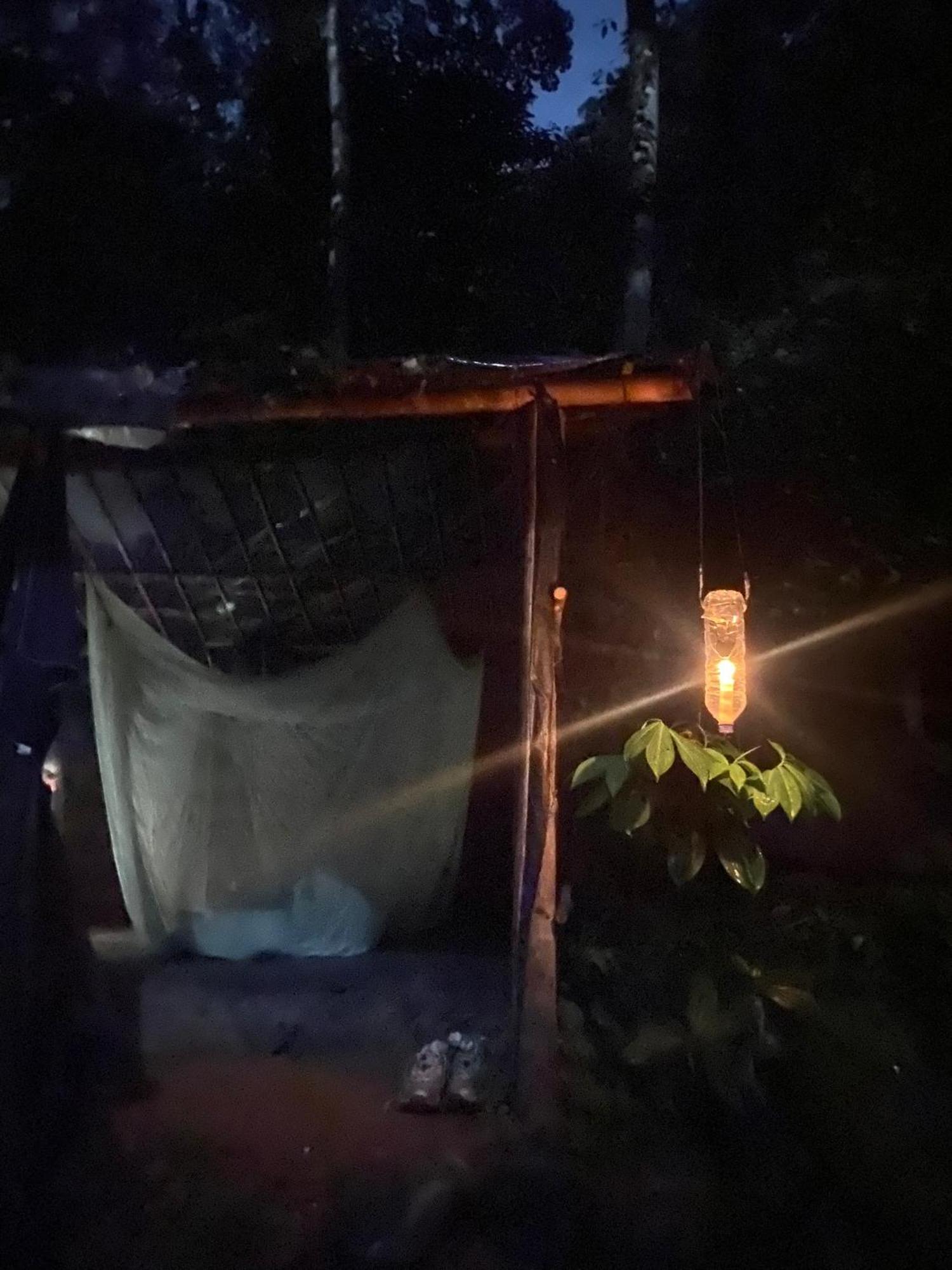 Thejungleguide - Lodges & Treks Bukit Lawang Luaran gambar