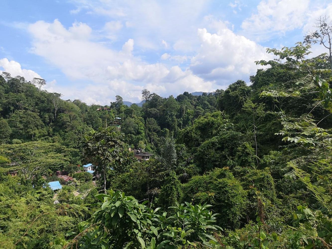 Thejungleguide - Lodges & Treks Bukit Lawang Luaran gambar