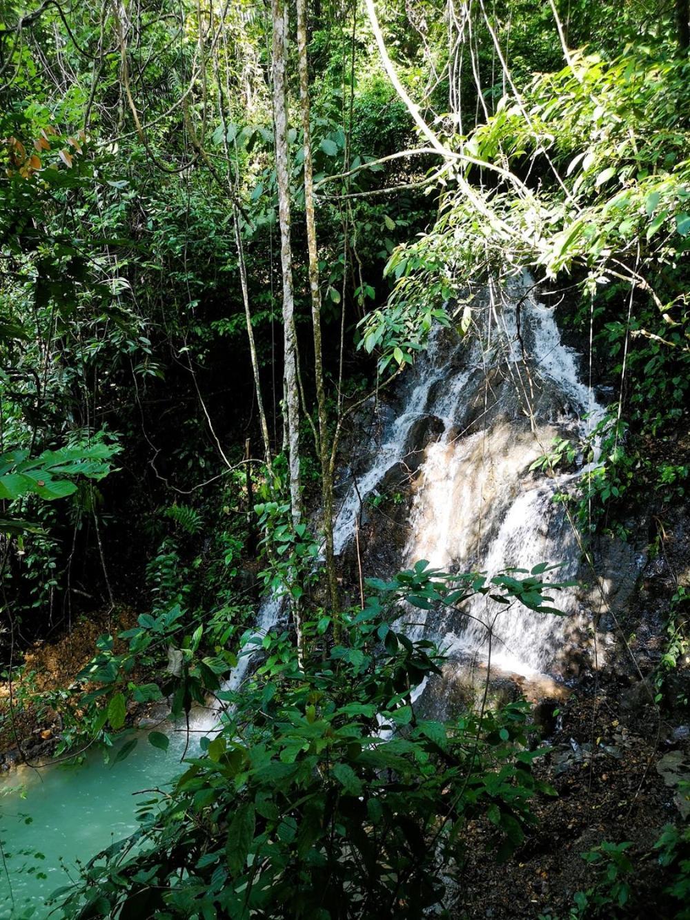Thejungleguide - Lodges & Treks Bukit Lawang Luaran gambar