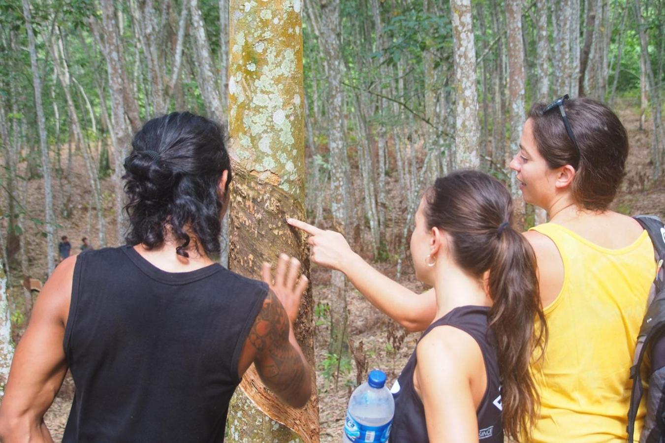 Thejungleguide - Lodges & Treks Bukit Lawang Luaran gambar