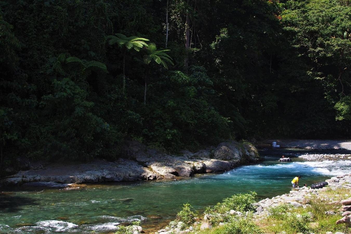 Thejungleguide - Lodges & Treks Bukit Lawang Luaran gambar