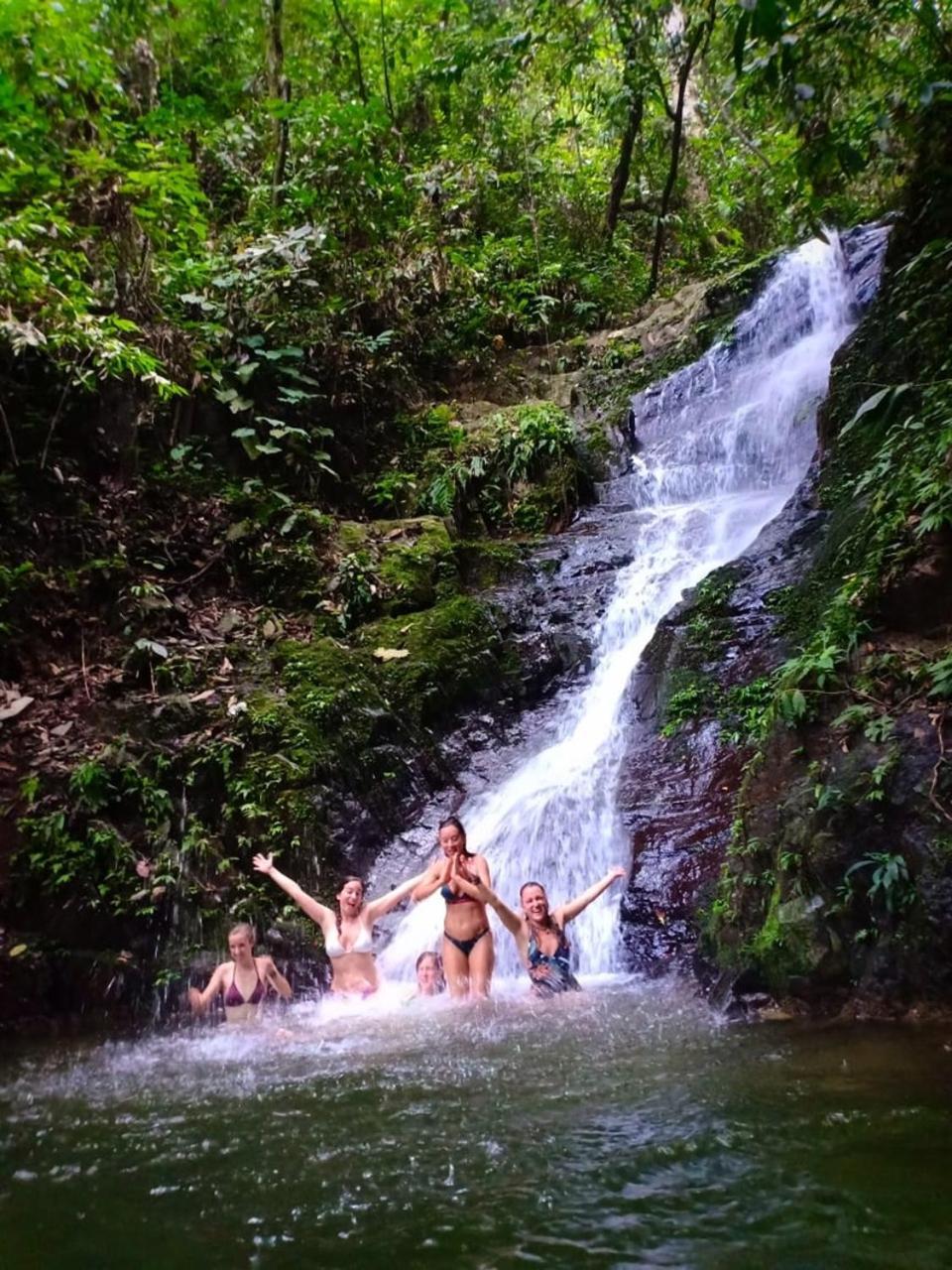 Thejungleguide - Lodges & Treks Bukit Lawang Luaran gambar