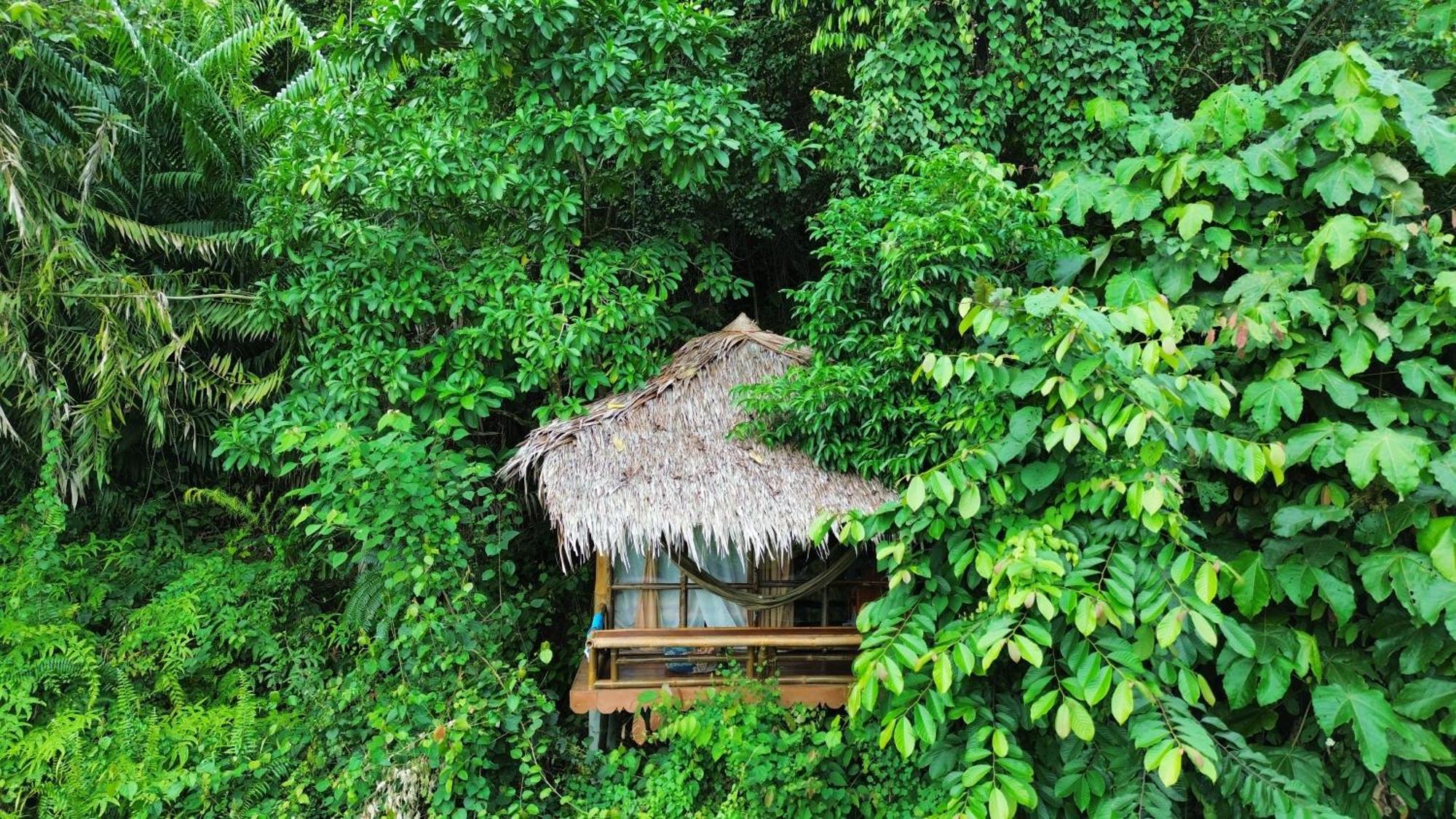 Thejungleguide - Lodges & Treks Bukit Lawang Luaran gambar