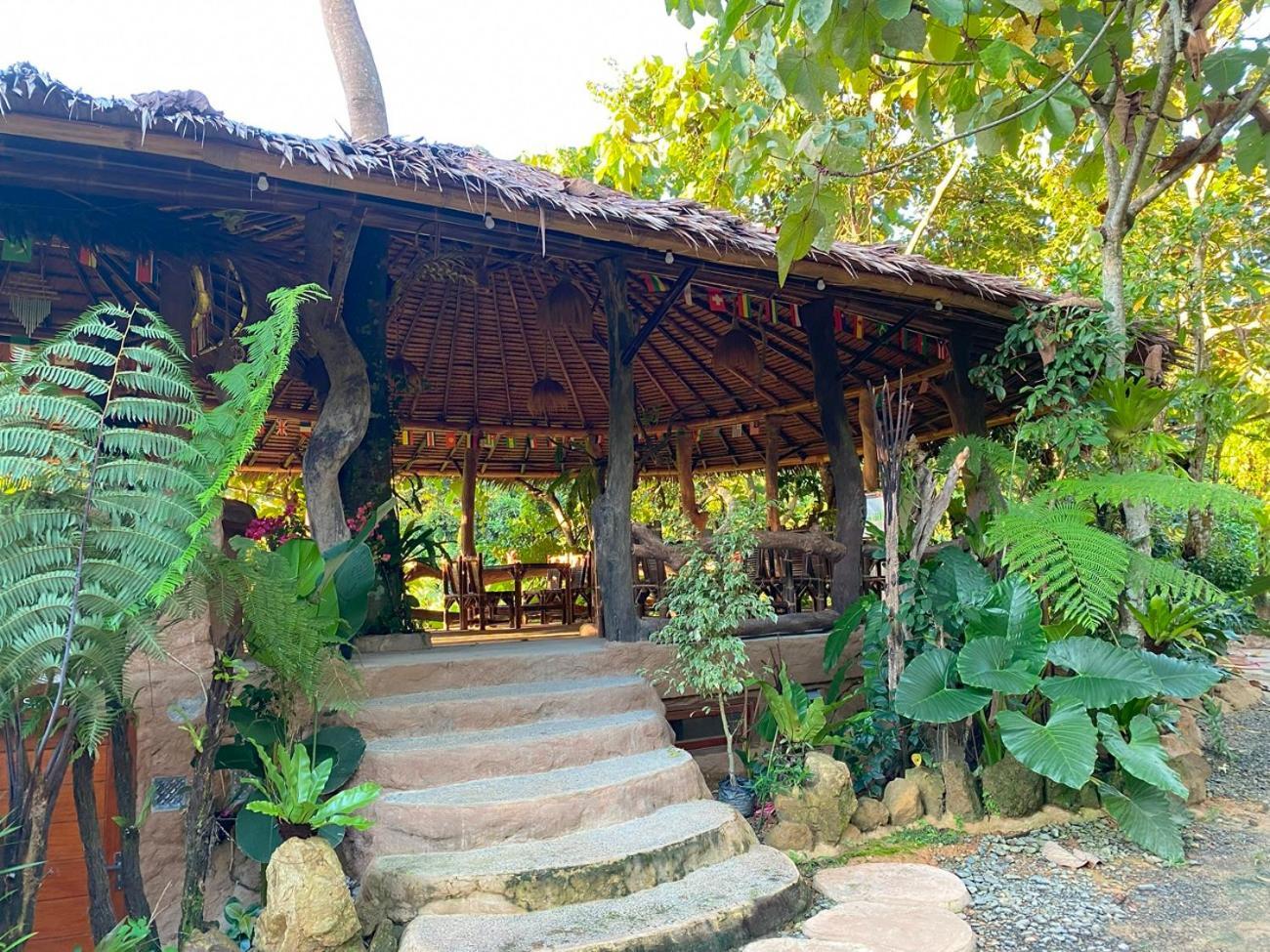 Thejungleguide - Lodges & Treks Bukit Lawang Luaran gambar