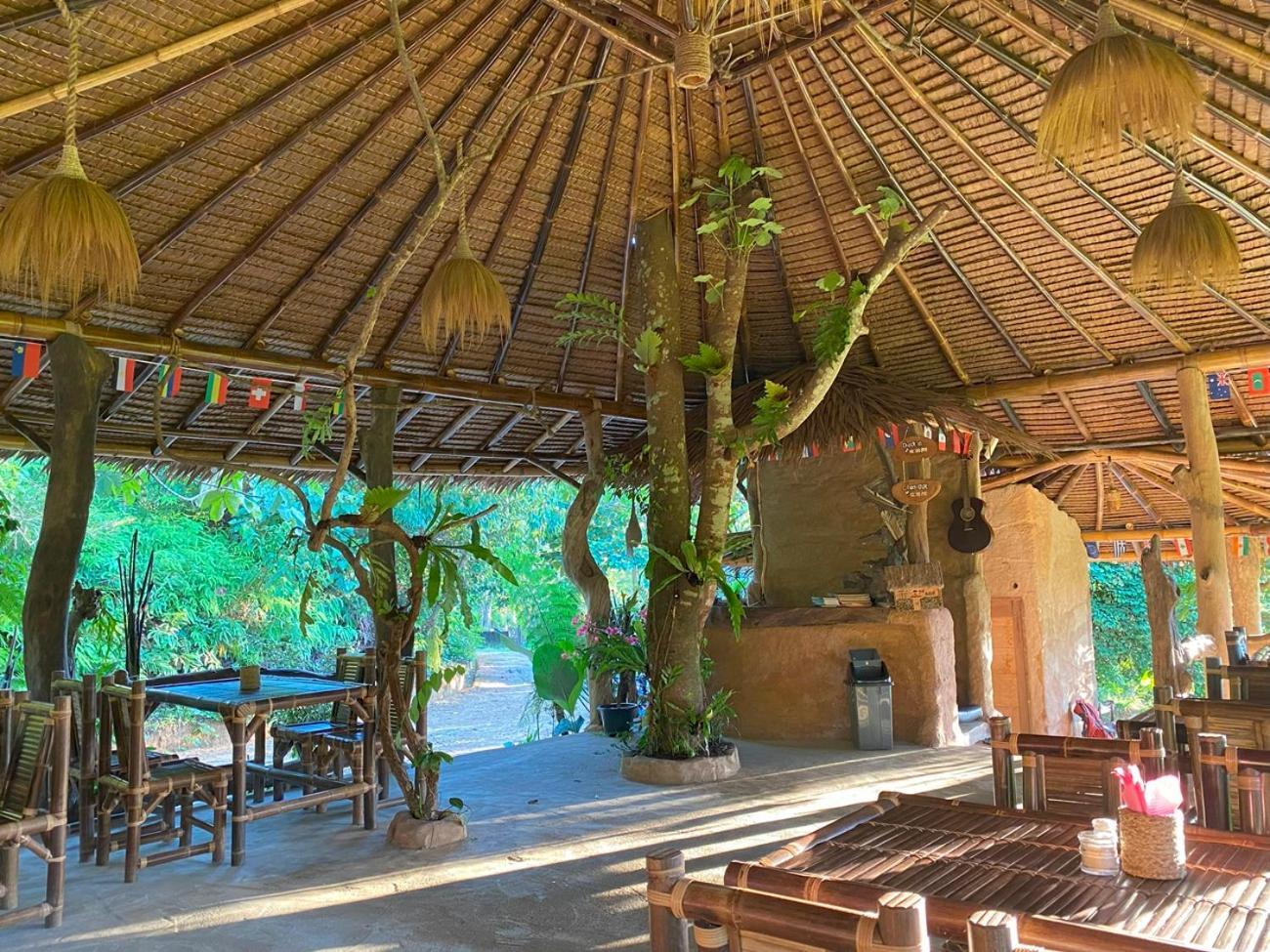 Thejungleguide - Lodges & Treks Bukit Lawang Luaran gambar