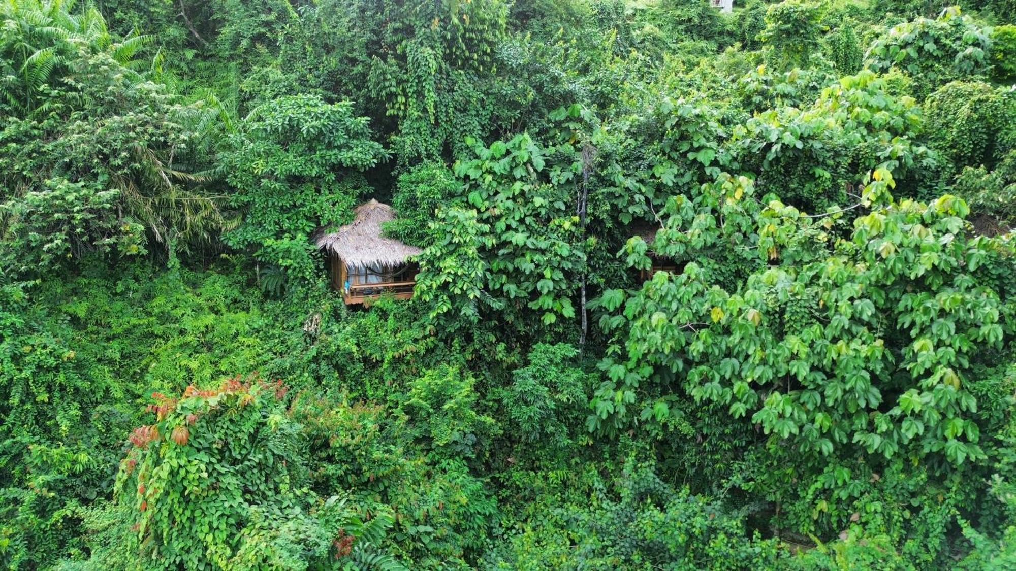 Thejungleguide - Lodges & Treks Bukit Lawang Luaran gambar
